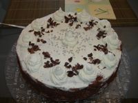 6.4.2008 - Takovýhle dort Verča upekla pro Dušana a Šolmese :)