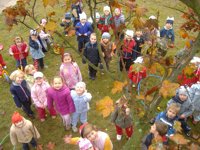 13.10.2008 - A někdy Šolmes musí na školkové zahradě vylézt na strom, aby děti měly radost...