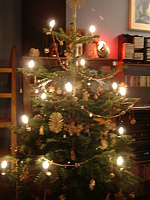 18.12.2009 - Vánoce u Šolmese - Vánoční stromeček