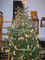 12.12.2011 - Svítící vánoční stromeček v Třískárně