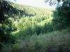 Filename=101_6721.jpg
Filesize=615KB
Dimensions=750x563
Date added=Jul 10, 2014 101_6721.jpg