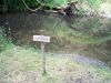 Filename=101_6987.jpg
Filesize=651KB
Dimensions=750x563
Date added=Jul 10, 2014 101_6987.jpg