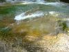 Filename=Obri_hrnec.jpg
Filesize=194KB
Dimensions=1024x768
Date added=May 20, 2008 Obri_hrnec.jpg