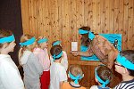 Sokolení v Dobřichovicích