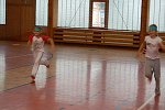 Sokolení v Dobřichovicích