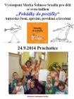 Šolmesovo autorské čtení v rámci akce